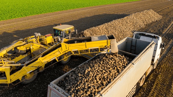 Bulk & Agricultural Goods